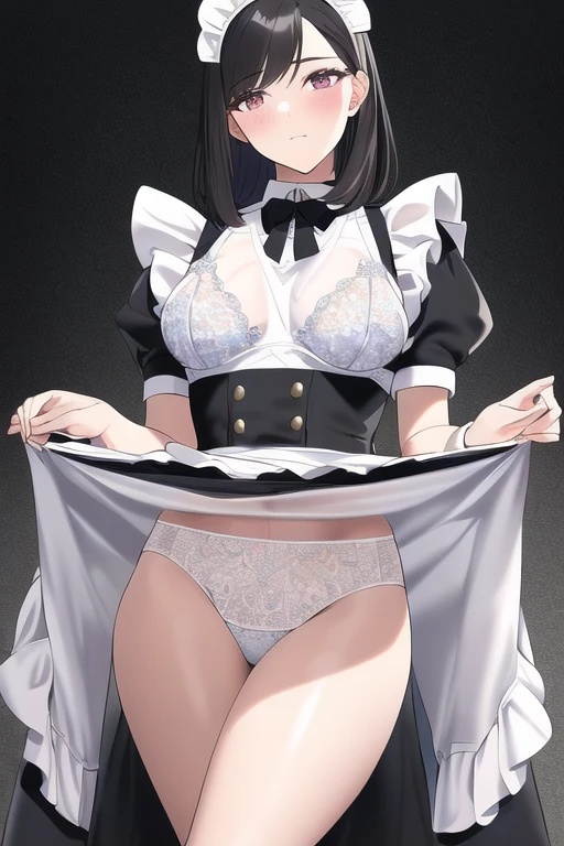 [NovelAI] Illustration style Masterpiece Maid uniform Gleaming Skin See-through Underwear [Illustration]